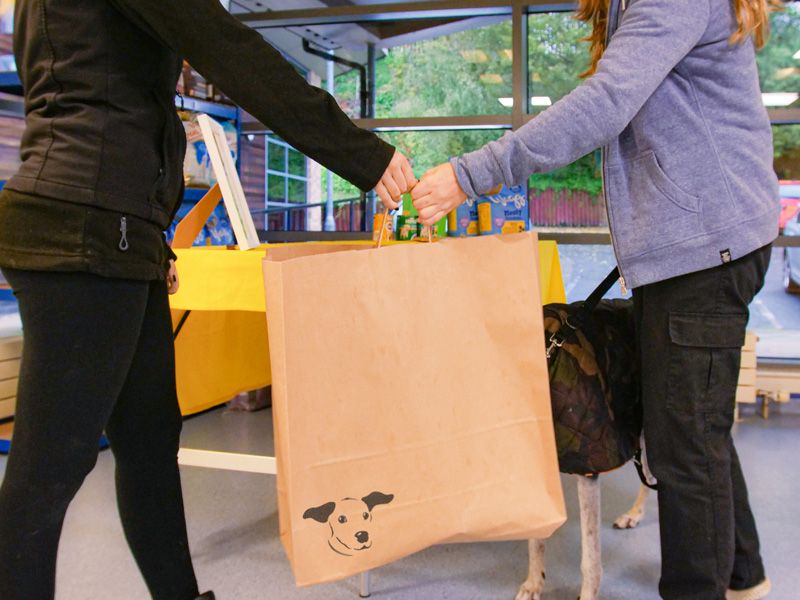 Setting up our dog food bank Dogs Trust